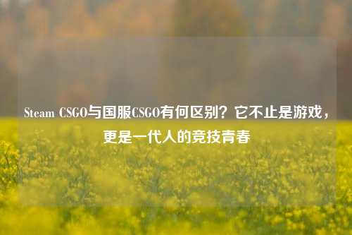 Steam CSGO与国服CSGO有何区别？它不止是游戏，更是一代人的竞技青春