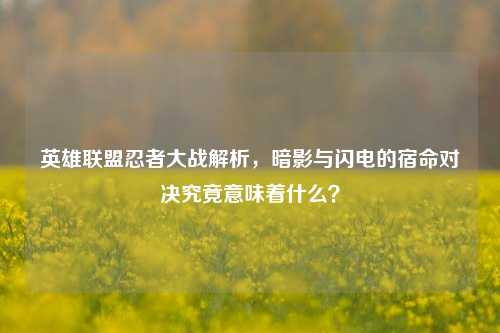 英雄联盟忍者大战解析,暗影与闪电的宿命对决究竟意味着什么?