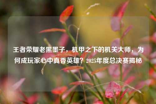 王者荣耀老黑墨子，机甲之下的机关大师，为何成玩家心中真香英雄？2025年度总决赛揭秘