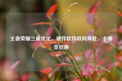 王者荣耀三星优化，硬件软件双向奔赴，卡顿变丝滑