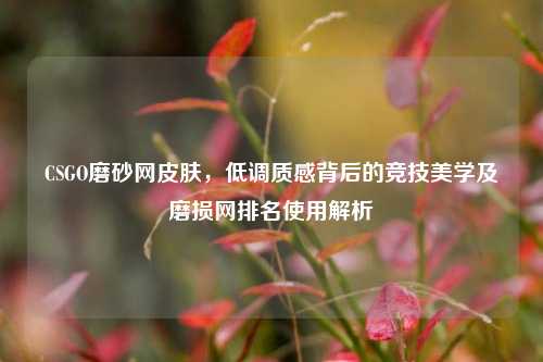 CSGO磨砂网皮肤,低调质感背后的竞技美学及磨损网排名使用解析