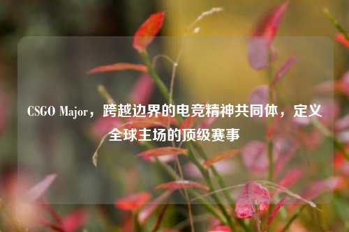 CSGO Major,跨越边界的电竞精神共同体,定义全球主场的顶级赛事