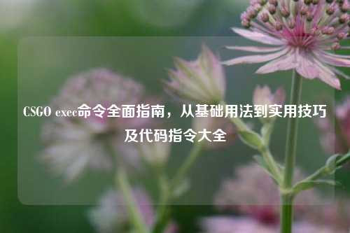 CSGO exec命令全面指南,从基础用法到实用技巧及代码指令大全