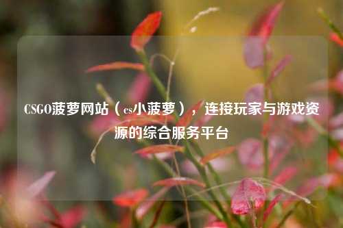 CSGO菠萝网站(cs小菠萝),连接玩家与游戏资源的综合服务平台