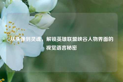 从头像到灵魂,解锁英雄联盟峡谷人物界面的视觉语言秘密