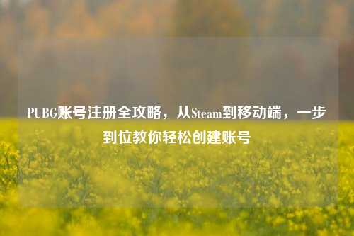PUBG账号注册全攻略，从Steam到移动端，一步到位教你轻松创建账号