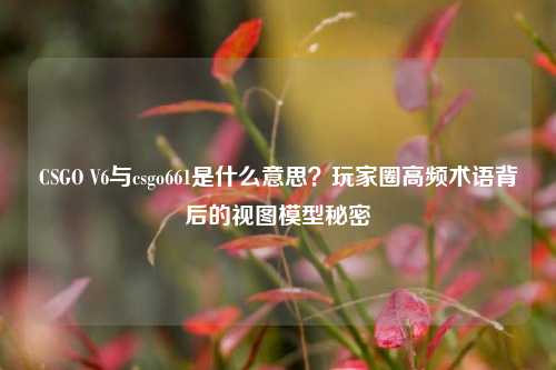 CSGO V6与csgo661是什么意思?玩家圈高频术语背后的视图模型秘密