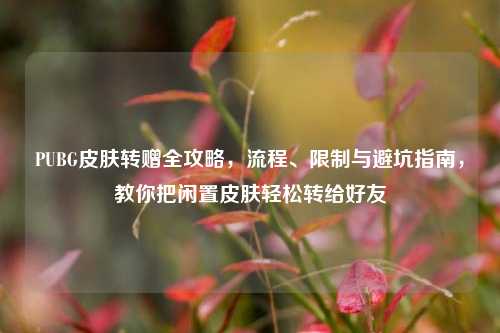 PUBG皮肤转赠全攻略，流程、限制与避坑指南，教你把闲置皮肤轻松转给好友