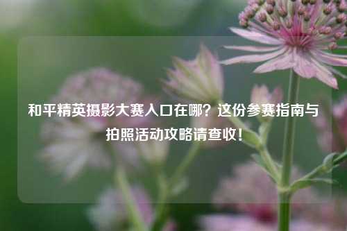 和平精英摄影大赛入口在哪？这份参赛指南与拍照活动攻略请查收！