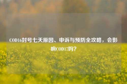 COD16封号七天原因、申诉与预防全攻略,会影响COD17吗?