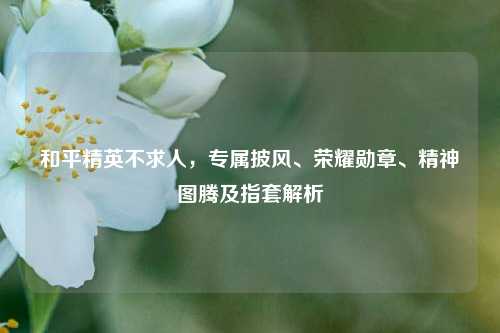 和平精英不求人，专属披风、荣耀勋章、精神图腾及指套解析