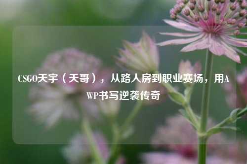 CSGO天宇(天哥),从路人房到职业赛场,用AWP书写逆袭传奇