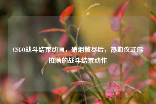 CSGO战斗结束动画,硝烟散尽后,热血仪式感拉满的战斗结束动作