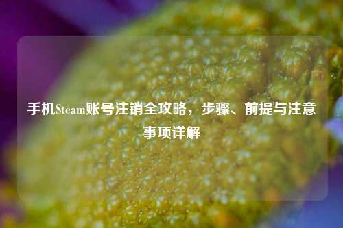 手机Steam账号注销全攻略,步骤、前提与注意事项详解