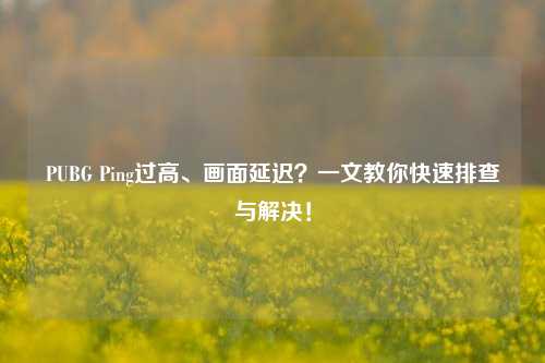 PUBG Ping过高、画面延迟?一文教你快速排查与解决!