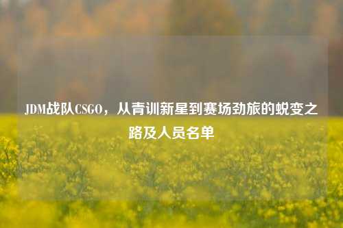 JDM战队CSGO，从青训新星到赛场劲旅的蜕变之路及人员名单