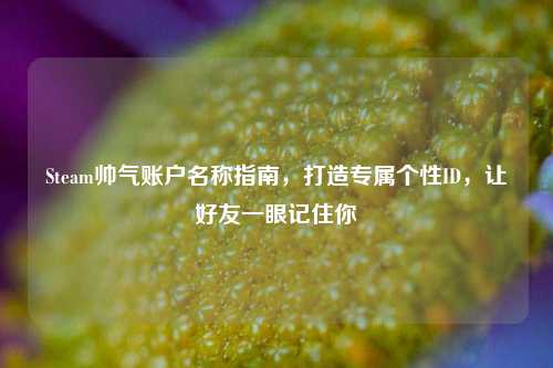 Steam帅气账户名称指南，打造专属个性ID，让好友一眼记住你