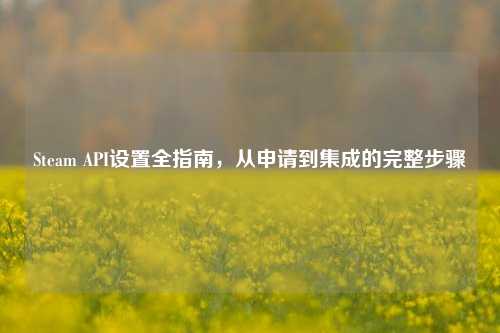 Steam API设置全指南,从申请到集成的完整步骤