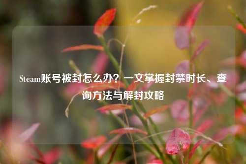 Steam账号被封怎么办?一文掌握封禁时长、查询 *** 与解封攻略