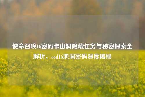 使命召唤16密码卡山洞隐藏任务与秘密探索全解析，cod16地洞密码深度揭秘