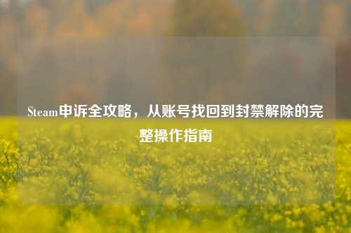 Steam申诉全攻略,从账号找回到封禁解除的完整操作指南