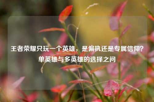 王者荣耀只玩一个英雄,是偏执还是专属信仰?单英雄与多英雄的选择之问