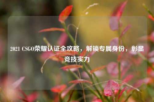 2021 CSGO荣耀认证全攻略,解锁专属身份,彰显竞技实力