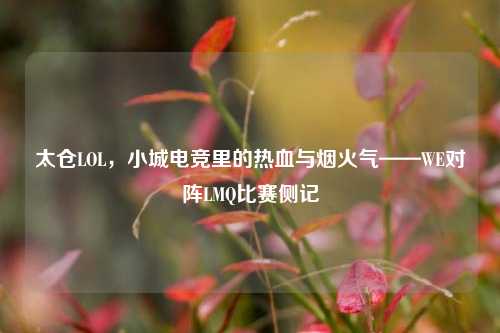 太仓LOL,小城电竞里的热血与烟火气——WE对阵LMQ比赛侧记