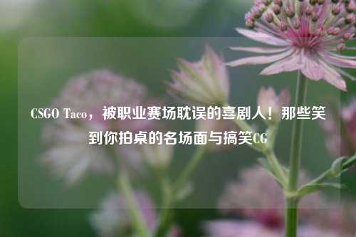 CSGO Taco,被职业赛场耽误的喜剧人!那些笑到你拍桌的名场面与搞笑CG