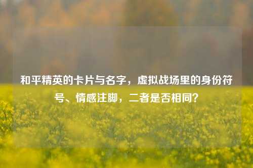 和平精英的卡片与名字,虚拟战场里的身份符号、情感注脚,二者是否相同?