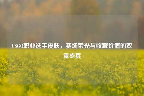 CSGO职业选手皮肤,赛场荣光与收藏价值的双重盛宴