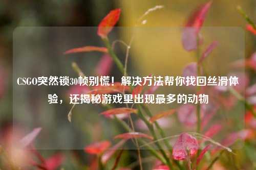 CSGO突然锁30帧别慌!解决 *** 帮你找回丝滑体验,还揭秘游戏里出现最多的动物