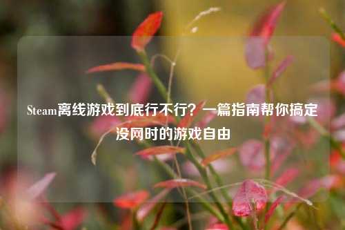 Steam离线游戏到底行不行?一篇指南帮你搞定没网时的游戏自由