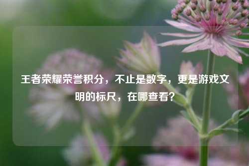 王者荣耀荣誉积分，不止是数字，更是游戏文明的标尺，在哪查看？