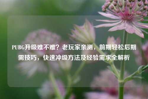 PUBG升级难不难？老玩家亲测，前期轻松后期需技巧，快速冲级 *** 及经验需求全解析