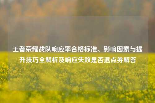 王者荣耀战队响应率合格标准、影响因素与提升技巧全解析及响应失败是否退点券解答