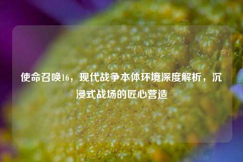 使命召唤16，现代战争本体环境深度解析，沉浸式战场的匠心营造