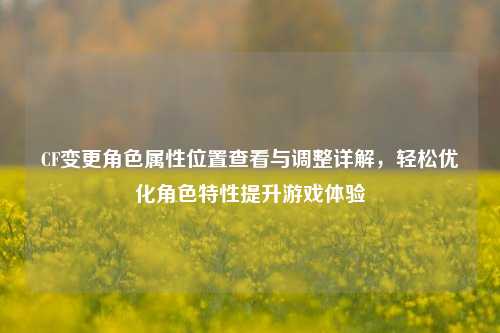 CF变更角色属性位置查看与调整详解,轻松优化角色特性提升游戏体验