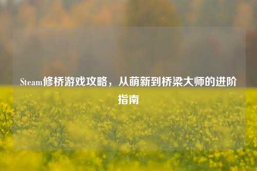 Steam修桥游戏攻略,从萌新到桥梁大师的进阶指南