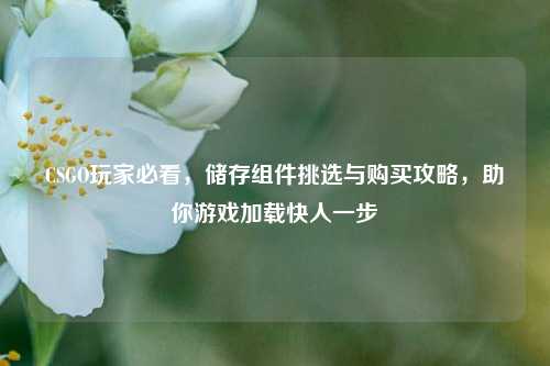 CSGO玩家必看,储存组件挑选与购买攻略,助你游戏加载快人一步