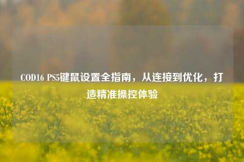 COD16 PS5键鼠设置全指南,从连接到优化,打造精准操控体验
