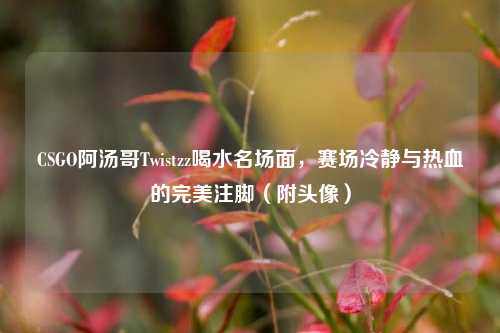 CSGO阿汤哥Twistzz喝水名场面,赛场冷静与热血的完美注脚(附头像)