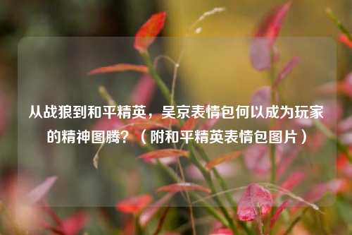 从战狼到和平精英，吴京表情包何以成为玩家的精神图腾？（附和平精英表情包图片）