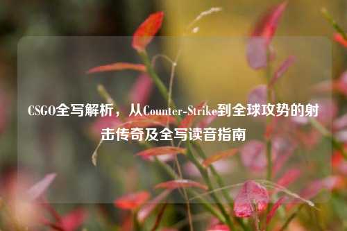 CSGO全写解析,从Counter-Strike到全球攻势的射击传奇及全写读音指南