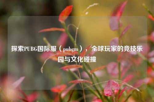 探索PUBG国际服(pubgm),全球玩家的竞技乐园与文化碰撞