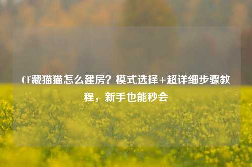 CF藏猫猫怎么建房?模式选择+超详细步骤教程,新手也能秒会