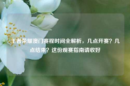 王者荣耀澳门赛程时间全解析,几点开赛?几点结束?这份观赛指南请收好