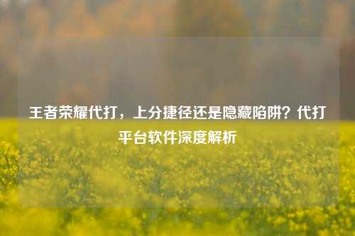 王者荣耀代打，上分捷径还是隐藏陷阱？代打平台软件深度解析