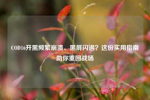 COD16开黑频繁崩溃、黑屏闪退？这份实用指南助你重回战场