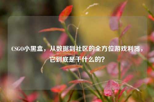 CSGO小黑盒,从数据到社区的全方位游戏利器,它到底是干什么的?